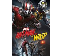 Poster Del Film Ant-Man & Wasp KING SIZE 61x91,5 Cm | 24x36 Pollici NUOVO Marvel