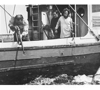 Poster Del Film JAWS Foto Stampa 24x20" Immagine Bellissima 177456
