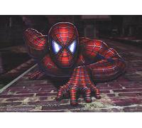 Poster Del Film Spiderman (2002)