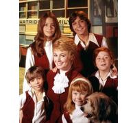 Poster Del Film The Partridge Family Foto Stampa 24x20" Immagine Fine 264089