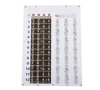 Poster di Accordi di Mandolino, Schemi di Accordi Chiari e Diteggiature per Suonatori di Mandolino. Aiuto Visivo per la Teoria e la Pratica Musicale