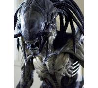 Poster Di ALIENS VS. PREDATOR: REQUIEM 24x20"