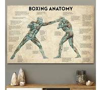 Poster Di Anatomia Del Corpo Di Boxe Vintage Stampe Modern Wall Art Canvas Painting Boxing Lover Gift Gym Room Decor Home Decoration 40X60Cm Senza Telaio