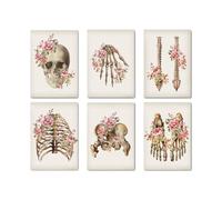 Poster di anatomia delle ossa scheletriche floreali della colonna vertebrale del cranio Medical Wall Art Print Canvas Painting Abstract Picture Clinic Home Decoration(6 pcs Set,A3 30x42cm No Frame)