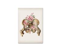 Poster di anatomia delle ossa scheletriche floreali della colonna vertebrale del cranio Medical Wall Art Print Canvas Painting Abstract Picture Clinic Home Decoration(Picture B,20x25cm No Frame)