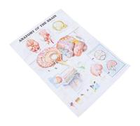 Poster di Anatomia Scheletro Umano in Tela per Scuola e Ufficio | Cartello Didattico Riutilizzabile, Decorazione per Aula e Studio Medico, Adatto a Studenti e Docenti