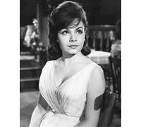 Poster Di ANNETTE FUNICELLO 24x20" Immagine Bellissima 175719