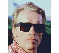 Poster Di ARNOLD SCHWARZENEGGER Stampa 24x20" Bella Immagine 277925