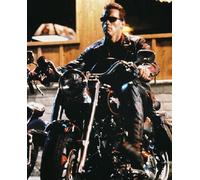 Poster Di ARNOLD SCHWARZENEGGER Stampa 24x20" Foto Meravigliosa 26691