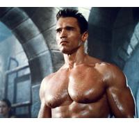 Poster Di ARNOLD SCHWARZENEGGER Stampa 24x20" Immagine Bellissima 278450