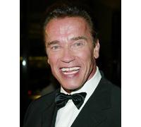 Poster Di ARNOLD SCHWARZENEGGER Stampa 24x20" Immagine Classica 254659