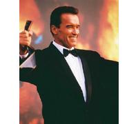 Poster Di ARNOLD SCHWARZENEGGER Stampa 24x20" Immagine Fine 224136
