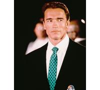 Poster Di ARNOLD SCHWARZENEGGER Stampa 24x20" Immagine Fine 233739