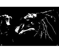 Poster Di Bob Marley - Dreads 24x36 - 8946