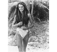 Poster Di BROOKE SHIELDS 24x20" Immagine Meravigliosa 178739