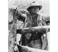 Poster Di CHARLES BRONSON 24x20"