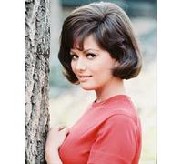 Poster Di CLAUDIA CARDINALE 24x20" Bella Foto 243296