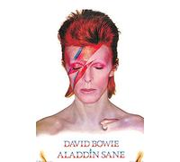 Poster di David Bowie Aladdin Sane (61 cm x 91,5 cm) + 1 poster con motivo di Parigi Playero