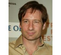 Poster Di DAVID DUCHOVNY 24x20"