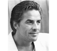 Poster Di DON JOHNSON 24x20" Immagine Iconica 175741