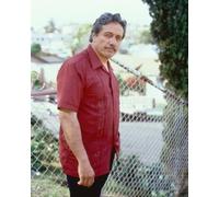 Poster Di EDWARD JAMES OLMOS 24x20"