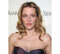 Poster Di GILLIAN ANDERSON 24X20" Immagine Bellissima 263956