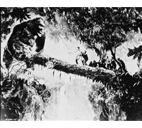 Poster Di KING KONG 24x20" Immagine Incantevole 16584