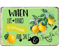 Poster di limone fresco, cartello in metallo latta, quando la vita ti aiuta ad aumentare il divertimento estivo con bevanda al limone e sale, bagno, cartello vintage in latta per ufficio e bar, decora