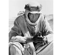 Poster Di PETER O'TOOLE 24x20" Foto Stellare 175537