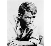 Poster Di PETER O'TOOLE 24X20" Immagine Stellare 169753