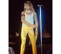 Poster Di ROD STEWART 24x20"