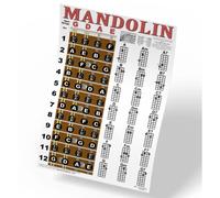 Poster didattico per principianti con accordi e note per tastiera per mandolino in stile classico, accordi e note, musica per una nuova canzone,