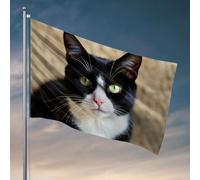 Poster divertenti per dormitorio universitario, un gatto bianco e nero con sorprendenti occhi verdi. Bandiera divertente da giardino bandiere country boy (120 x 180 cm)