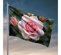 Poster divertenti per dormitorio universitario, una bella rosa rosa in piena fioritura. Bandiera accessori per camera da letto bandierine all'aperto (30 x 45 cm)