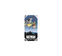 Poster Dk Ret Batman E Robin Poster Di Vetro Sd Toys
