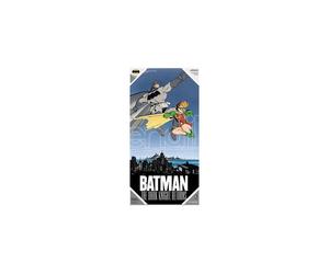 Poster Dk Ret Batman E Robin Poster Di Vetro Sd Toys