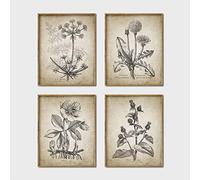 Poster e stampe botaniche antiche Rustico Agriturismo Wall Art Canvas Pittura Piante Immagini per soggiorno Decorazione della parete 20x30cmx4 Senza cornice