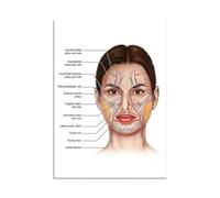 Poster E Stampe Su Tela Raffiguranti Il Viso, La Struttura Del Corpo, Lo Scheletro, L'Arte Murale, Il Sistema Nervoso, L'Anatomia, L'Educazione Medica 50X70Cm Senza Telaio