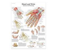 Poster E Stampe Su Tela Raffiguranti La Mano E Il Polso, La Struttura Del Corpo, Lo Scheletro, L'Arte Murale, Il Sistema Nervoso, L'Anatomia, L'Educazione Medica 21X30Cm Senza Telaio