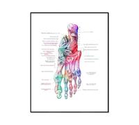 Poster E Stampe Sull'Anatomia Delle Ossa Del Piede, Poster Medico Podologo, Regalo Ortopedico, Dipinto Su Tela, Arte Murale, Decorazione Per Studio Medico Podologo, Formato A6 50X70Cm Senza Telaio