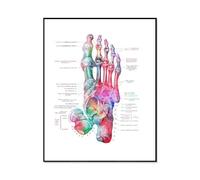 Poster E Stampe Sull'Anatomia Delle Ossa Del Piede, Poster Medico Podologo, Regalo Ortopedico, Dipinto Su Tela, Arte Murale, Decorazione Per Studio Medico Podologo, Formato A4 50X70Cm Senza Telaio