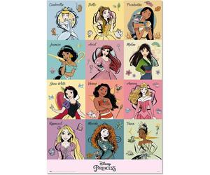 Poster Erik Pennellate delle Principesse Disney