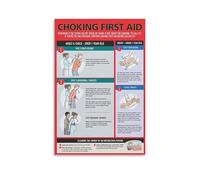poster First Aid Chart for Choking Relief - Heimlich Maneuver Guide Wall Art Poster for Adults Baby Pregnancy - Modern Home Office Decor Canvas Painting(Framed,16x24inch(40x60cm))