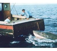 Poster Fotografia Del Film JAWS 24x20" Immagine Stellare 269131