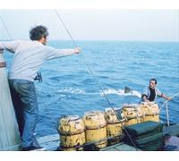 Poster Fotografico Del Film JAWS 24x20" Immagine Meravigliosa 269130