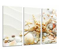 Poster Fotografico Sabbia Spiaggia con Stella di Mare Conchiglie Lumache, Bagno, Dimensione totale: 97 x 62 cm XXL