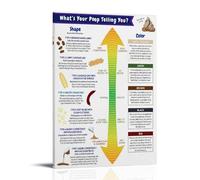 poster Gastrointestinal System Educational Chart, Biology Poster for Learning, Science Themed Wall Decor(Unframed,08x12inch(20x30cm))