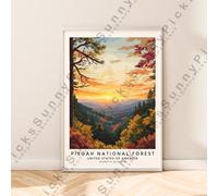 Poster Illustrazione Decorativa Del Pisgah National Forest Senza Cornice