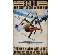 Poster in metallo con sciatore con sciatori e sci con scritta "Ski The Only Sport Where You Spend an Arm", 20,3 x 30,5 cm