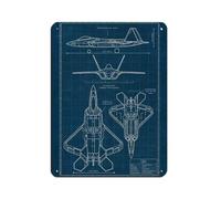 Poster in metallo retrò F-22, motivo: aereo da combattimento raptor, arte chic, retrò, pittura in ferro, per bar, grotte, bar, famiglia, garage, decorazione da parete, 30 x 40 cm